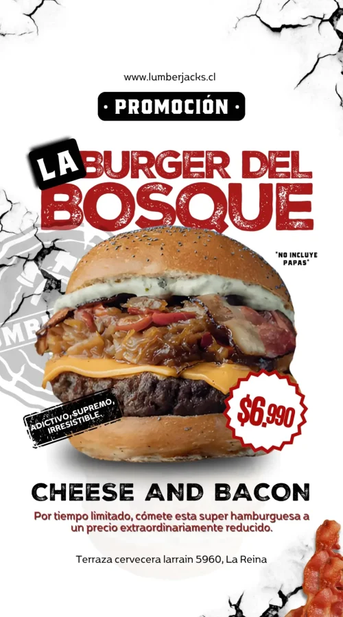 copia_de_copia_de_promos_lumberjack_1080_x_1350_px_tu_historia_1_1_-scaled.webp